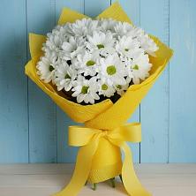 Букет цветов из:  Хризантемы в Ильинское-Усово