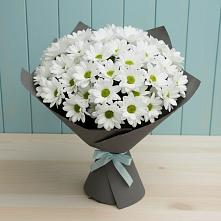 Букет цветов из:  Хризантемы #REPLACE_PRED# Ильинское-Усово
